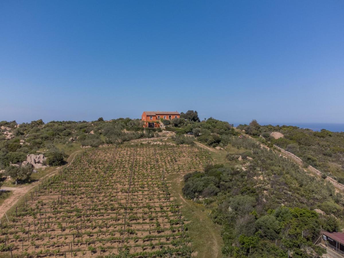 פאלאו Holiday Home Rita By Interhome מראה חיצוני תמונה